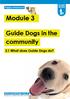 Module 3. Guide Dogs in the community. 3.1 What does Guide Dogs do? Puppy resources.