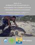 WORKSHOP FOR THE ADOPTION OF A MANAGEMENT AND CONSERVATION PLAN FOR MARINE TURTLES IN MADAGASCAR