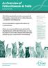 An Overview of Feline Diseases & Traits