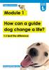 How can a guide dog change a life?