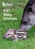 KS1 Baby Animals. Marwell Wildlife Colden Common Winchester Hampshire SO21 1JH