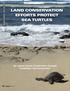 LAND CONSERVATION EFFORTS PROTECT SEA TURTLES