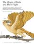 The Origin of Birds and Their Flight