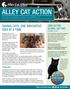 ALLEY CAT ACTION SAVING CATS, ONE INNOVATIVE IDEA AT A TIME JOIN US FOR GLOBAL CAT DAY! OCTOBER 16, Thinking Big