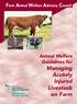 Farm Animal Welfare Advisory Council. Animal Welfare Guidelines for. Managing Acutely Injured Livestock on Farm