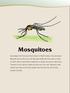 About Mosquitoes. Life and Times... Fascinating Facts