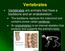 Vertebrates. Vertebrates are animals that have a backbone and an endoskeleton.