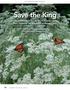 Save the King. These nomads of the sky are in trouble and West Virginians are in a prime position to help. Wonderful West Viginia Magazine