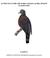 ACTION PLAN FOR THE DARK-TAILED LAUREL PIGEON (Columba bollii)
