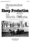 Sheep Production. 'r-lzý s. 0ia NOV STATE UNIVERSITY. ,Agricultural Economics Report No June 1977