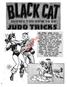 The Black Cat Created by Alfred Harvey and Al Gabriele. Artwork By LEE ELIAS. Sample file. Game Design By STEVE MILLER