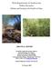 Water Requirements for Southwestern Willow Flycatcher Habitat and Nesting at the Pueblo of Isleta