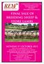 final sale of breeding sheep & store lambs
