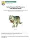 Rocky Mountain Wolf Recovery 1996 Annual Report