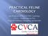 Jess Weidman, DVM, DACVIM- Cardiology CVCA Cardiac Care for Pets Dogwood Veterinary Emergency and Specialty