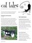 Cleopatra and Isosceles. April adoptathons. april the newsletter of the Feline Friends Network. Stratford-Perth Humane Society