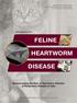 FELINE HEARTWORM DISEASE. Understanding the Role of Heartworm Infection in Respiratory Disease in Cats