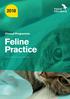 Clinical Programme. Feline Practice