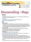 Housesoiling Dogs Basics