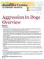 Aggression in Dogs Overview Basics