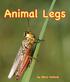 Animal Legs. by Mary Holland