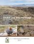Chukar and Gray Partridge Management Guidelines