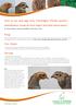 How to sex and age Grey Partridges (Perdix perdix)
