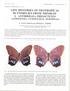 LIFE HISTORIES OF NEOTROPICAL BUTTERFLIES FROM TRINIDAD