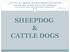 SHEEPDOG & CATTLE DOGS