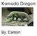 Komodo Dragon. By: Carson