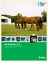 Get Rotation Right: A horse owner s guide to reducing parasite burdens and resistance issues in the horse.