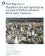 Population size and reproductive success of California Gulls at Mono Lake, California