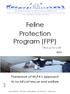 Feline Protection Program (FPP)