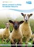 Worm control in sheep for Better Returns