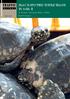 BLACK SPOTTED TURTLE TRADE IN ASIA II