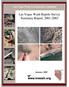 Las Vegas Wash Reptile Survey Summary Report,