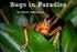 Bugs in Paradise. by Mark Yokoyama