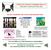 MIDWEST BOSTON TERRIER RESCUE HOLIDAY NEWSLETTER 2012