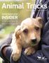 Animal Humane Society Spring/Summer 2017 INVESTIGATIONS INSIDER. A look at the work of AHS humane agents