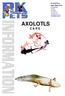 AXOLOTLS C A R E. P & K Pets Info Sheet #12 19 Magill Rd Stepney SA 5069 P: F:
