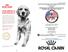 Royal Canin is a Proud Sponsor of the events during National Championship week