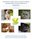 Prevalence of M. canis in cats in a Dutch animal shelter at the moment of admission