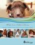 All for Love: A Year in Review. San Diego Humane Society and SPCA Annual Report