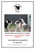 Open Agility and Jumping Trial 11th April 2015