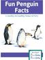 Fun Penguin Facts. a reading and spelling review activity