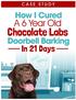 Welcome to the case study for how I cured my dog s doorbell barking in just 21 days.