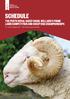 SCHEDULE THE PERTH ROYAL SHEEP SHOW, WELLARD S PRIME LAMB COMPETITION AND SHEEP DOG CHAMPIONSHIPS