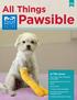 Pawsible. All Things. In This Issue: The Puppy with a Sparkling Personality. Brought Back to Life: Fox s Story. Sweet Sadie. A Cutie Called Centipede