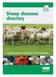 Sheep diseases directory