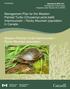 Management Plan for the Western Painted Turtle (Chrysemys picta bellii) Intermountain Rocky Mountain population in Canada